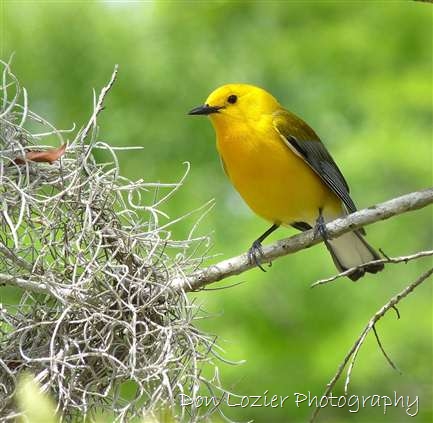 Click for large image