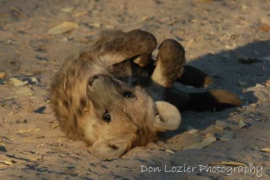 Click for large image